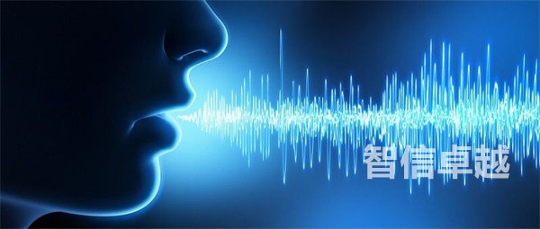 录音翻译价格（语音录音翻译多少钱）