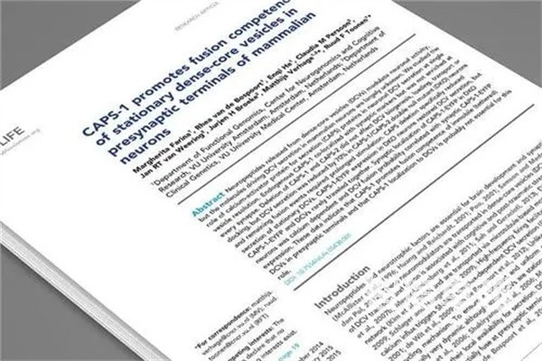 公司规章文件翻译