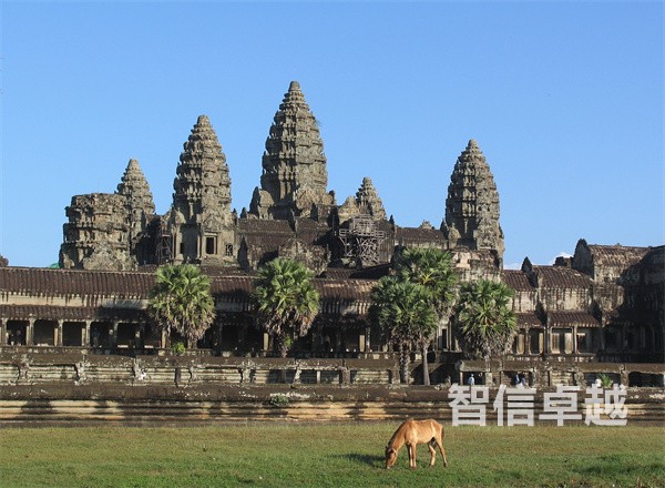 毕业证书翻译-专业法语毕业证翻译