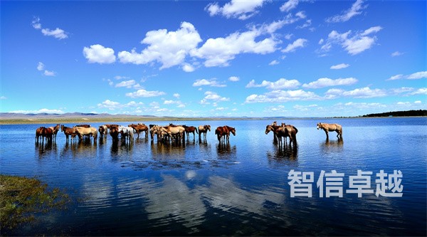 化工翻译-法语翻译中文翻译 化工翻译-法语翻译中文翻译