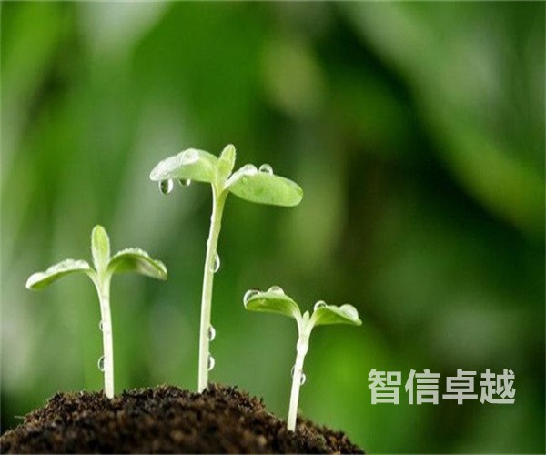 杭州英语翻译公司的翻译标准有哪些-杭州正规的英语翻译公司 杭州英语翻译公司的翻译标准有哪些-杭州正规的英语翻译公司