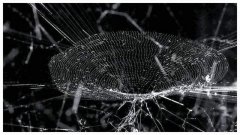 如何翻译好物理学知识？