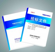 翻译法语文件时需要注意什么