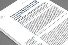 专业的合同翻译译员具备的能力