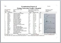 体检报告翻译的注意事项