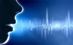 怎样选择一家专业的西安翻译公司